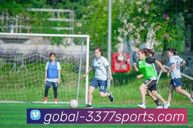 3377体育APP 高清赛事图